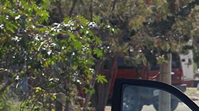 Violencia en México