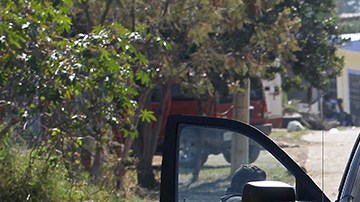 Violencia en México