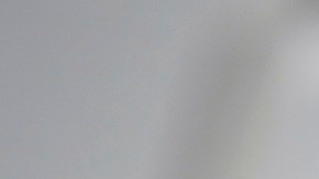 Jared Kushner, yerno Trump, habría coordinado la entrevista que el expresidente dio a Univision.