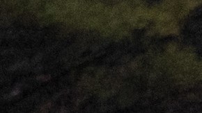 Encuentran muerta a niña 5 años en un estanque cerca de su casa en Rhode Island