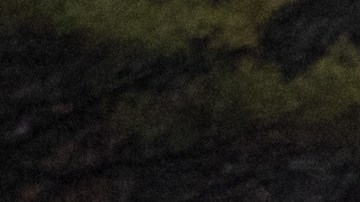 Encuentran muerta a niña 5 años en un estanque cerca de su casa en Rhode Island