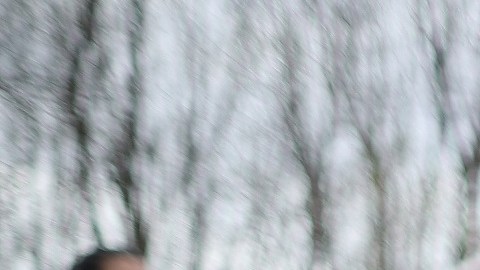 El programa WIC enfrenta un déficit de financiamiento, debido a costos de alimentos y cifras de participación superiores a los esperados.