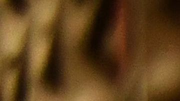 Tres palestinos baleados cuando se dirigían a una cena de Acción de Gracias en Vermont