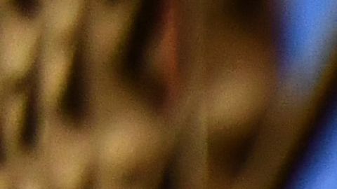Tres palestinos baleados cuando se dirigían a una cena de Acción de Gracias en Vermont