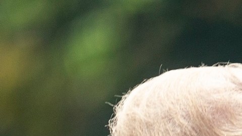 El expresidente Donald Trump y su esposa, Melania Trump.