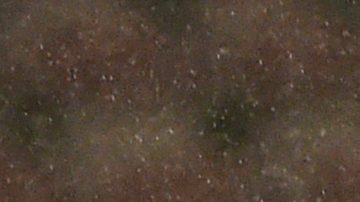 Jesús Manuel Corona celebra un gol.