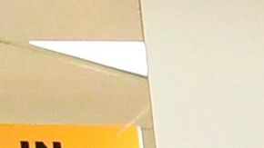 Millones de inmigrantes ejercerán su derecho al voto en las próximas elecciones de EE.UU.