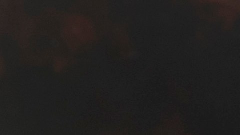 El fuego afectó la parte inferior de la autopista 10 en el centro de Los Ángeles.