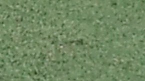 Fernando Tatis Jr. ganó el Guante de Oro y el de Platino.