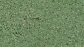 Fernando Tatis Jr. ganó el Guante de Oro y el de Platino.