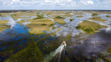 Piloto de una avioneta resultó herido tras estrellarse en los Everglades