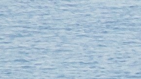 LAGUNA BEACH, CA - FEBRUARY 10: A firefighter monitors the situation on a smoldering hillside in Laguna Beach, California on February 10, 2022. A wind-driven brush fire that broke out in the hills near Laguna Beach amid high temperatures and low humidity forced residents to flee their homes early February 10, 2022. (Photo by Apu Gomes/Getty Images)