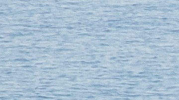 LAGUNA BEACH, CA - FEBRUARY 10: A firefighter monitors the situation on a smoldering hillside in Laguna Beach, California on February 10, 2022. A wind-driven brush fire that broke out in the hills near Laguna Beach amid high temperatures and low humidity forced residents to flee their homes early February 10, 2022. (Photo by Apu Gomes/Getty Images)