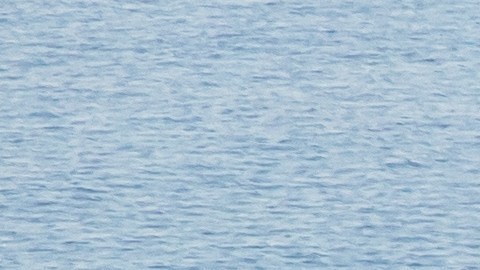 LAGUNA BEACH, CA - FEBRUARY 10: A firefighter monitors the situation on a smoldering hillside in Laguna Beach, California on February 10, 2022. A wind-driven brush fire that broke out in the hills near Laguna Beach amid high temperatures and low humidity forced residents to flee their homes early February 10, 2022. (Photo by Apu Gomes/Getty Images)