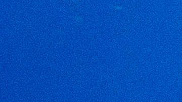 Bull sharks circle a bait box during a shark dive off the coast of Jupiter, Florida on February 12, 2022. (Photo by Joseph Prezioso / AFP) (Photo by JOSEPH PREZIOSO/AFP via Getty Images)