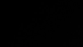 Hallan a 87 migrantes dentro de un remolque en una carretera al sur de México