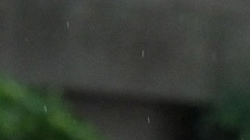 Hong Kong decomisa cocaína oculta en un cargamento de malvaviscos valuada en casi 50 millones