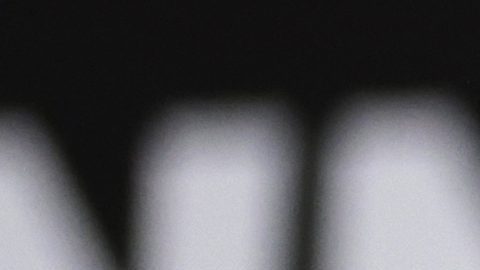 José Benavídez Jr.