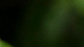 Rescatan a 11 migrantes chinos "abandonados" en un bote en el Caribe panameño