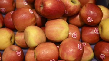 FDA alerta que varios niños en 22 estados enfermaron por bolsas de fruta contaminadas con plomo