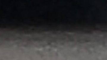 Alfaro es un respetado entrenador del fútbol sudamericano.