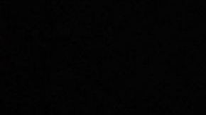 Fuerte viento derriba árbol de Navidad de la Casa Blanca decorado con cientos de luces