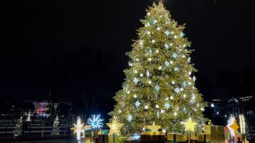 Fuerte viento derriba árbol de Navidad de la Casa Blanca decorado con cientos de luces