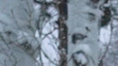 Al menos 14 millones de estadounidenses bajo alertas de clima invernal