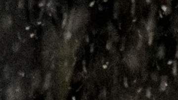 Se esperan fuertes nevadas con efecto lago desde Ohio hasta el oeste de Nueva York