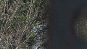 Madre de niño de 6 años de Virginia que disparó a maestra es sentenciada a 21 meses de prisión