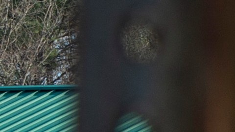 Madre de niño de 6 años de Virginia que disparó a maestra es sentenciada a 21 meses de prisión