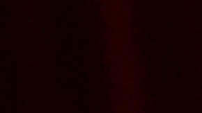 El evento rindió un homenaje al director David Fincher.