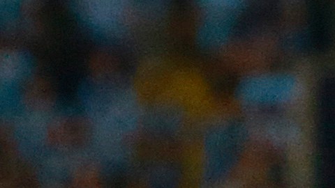 Luis Suárez termina su contrato con el Gremio brasileño al final de esta temporada.