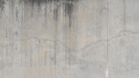 Centro Penitenciario Brians 2, lugar donde permanece detenido el futbolista brasileño Dani Alves, acusado de agresión sexual.