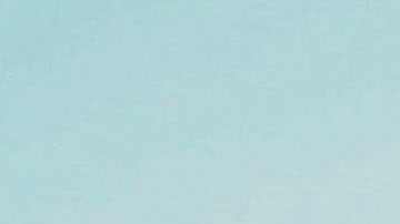 Los trabajadores agrícolas no inmigrantes que trabajan temporalmente aseguran la producción en Estados Unidos.