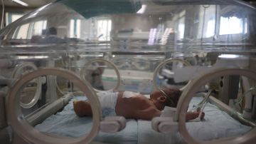 Recién nacidos mueren en hospital más grande de Gaza ante afectaciones de instalaciones médicas por guerra