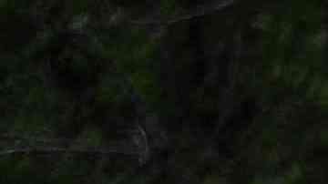 Ordenan investigación por publicación en línea de escritos de la tiradora de la escuela Covenant en Nashville