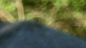 7 empleados de la policía de Nashville en licencia tras filtración de escritos de la tiradora de Covenant