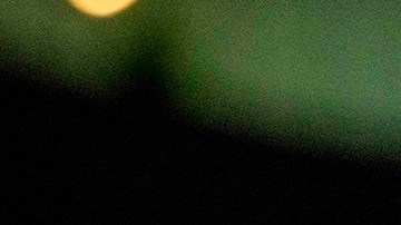 'Garfield: Fuera de casa', tiene programado su estreno en Estados Unidos para el 24 de mayo de 2024.
