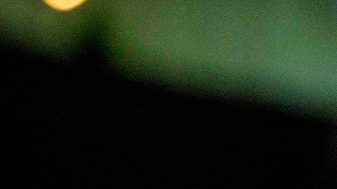 'Garfield: Fuera de casa', tiene programado su estreno en Estados Unidos para el 24 de mayo de 2024.