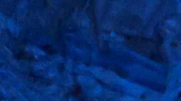 Arrestan a sospechoso de disparar a tres jóvenes palestinos en Vermont