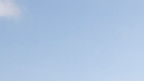 Organizaciones civiles han presionado al Congreso para ofrecer soluciones migratorias.