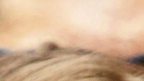 Sergio Pérez recibe una felicitación de su esposa Carola Martínez.