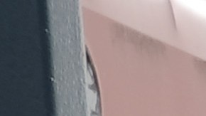 Hombre que mató a vecinos por hacer mucho ruido, muere tras enfrentamiento con agente del FBI en Brooklyn