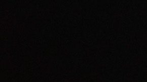 Juan Francisco 'Gallo' Estrada