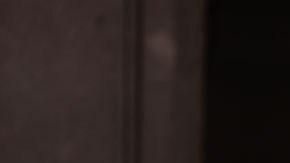 Joe Biden y Andrés Manuel López Obrador