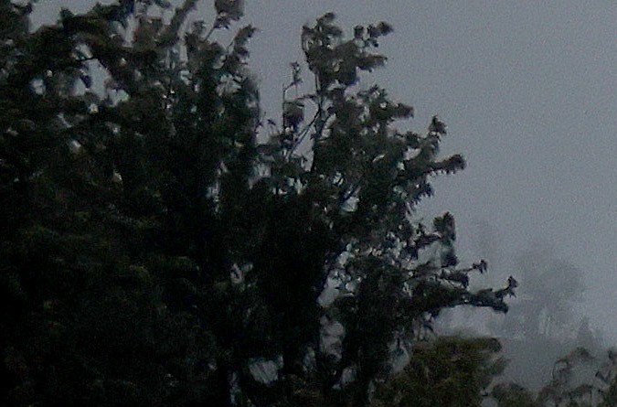 LOS ANGELES, CALIFORNIA - FEBRUARY 24: Vehicles drive through winter storm rains on Interstate 5 on February 24, 2023 in Los Angeles, California. A major storm, carrying a rare blizzard warning for parts of Southern California, has begun to deliver heavy snowfall to the mountains with some snowfall expected to reach lower elevations in Los Angeles County. Los Angeles is also seeing widespread heavy rains from the storm. (Photo by Mario Tama/Getty Images)