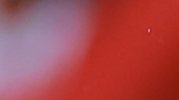 Robert Siboldi desde el banquillo de Tigres.