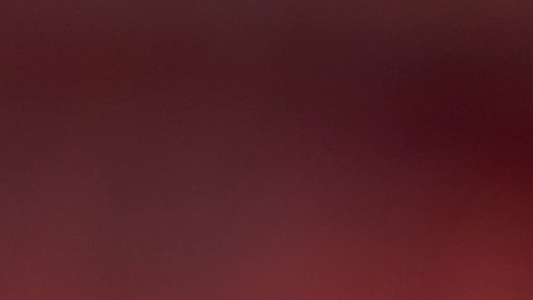 Javier Aguirre asume su responsabilidad en el mal momento que atraviesa el Mallorca.