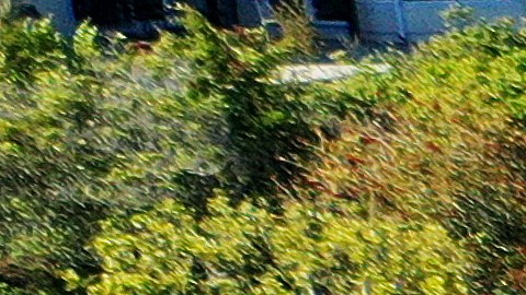 ROLLING HILLS ESTATES, CALIFORNIA - JULY 11: An aerial view of upscale homes destroyed by a landslide on Palos Verdes Peninsula on July 11, 2023 in Rolling Hills Estates, California. The still unexplained landslide destroyed 12 homes over the weekend and has sent ten of the homes slowly sliding toward a canyon below, forcing the City Council to declare a local state of emergency. (Photo by Mario Tama/Getty Images)